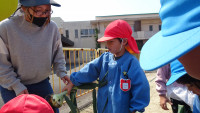 DSC00525