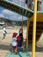 image4 (1)