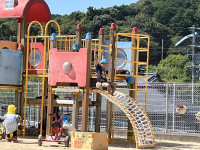 image0 (1)