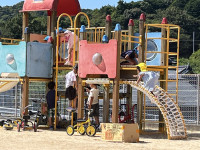 image4 (1)