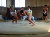 DSC00464